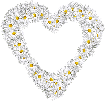 Daisy Heart Shape