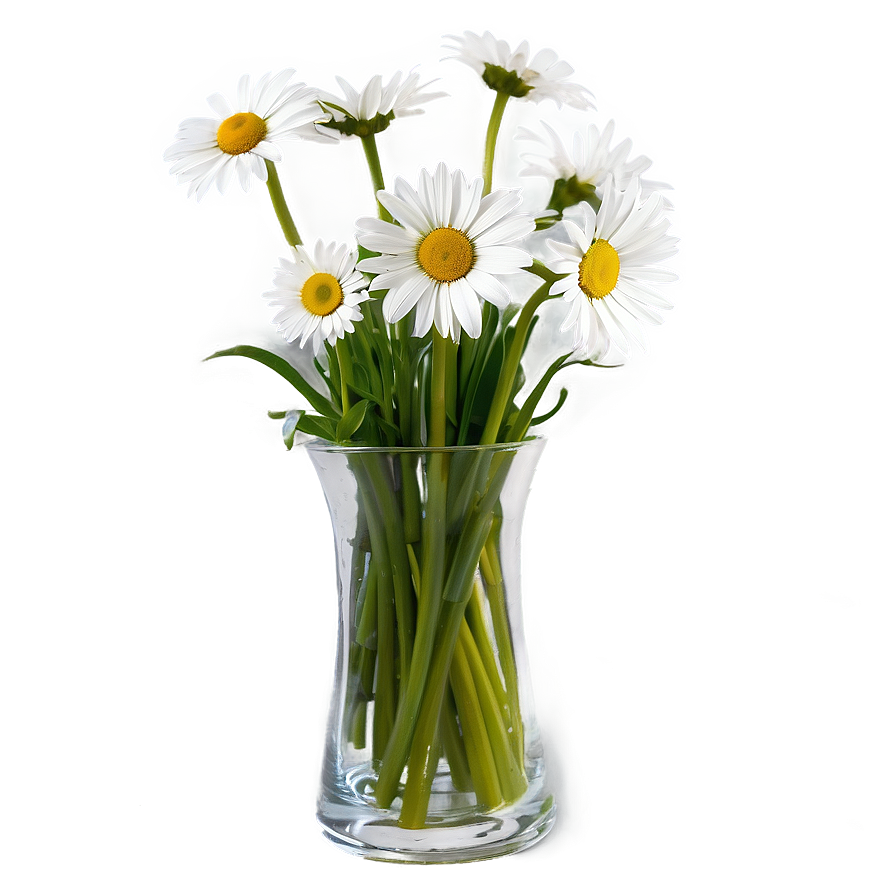 Daisy In Vase Png Fmv