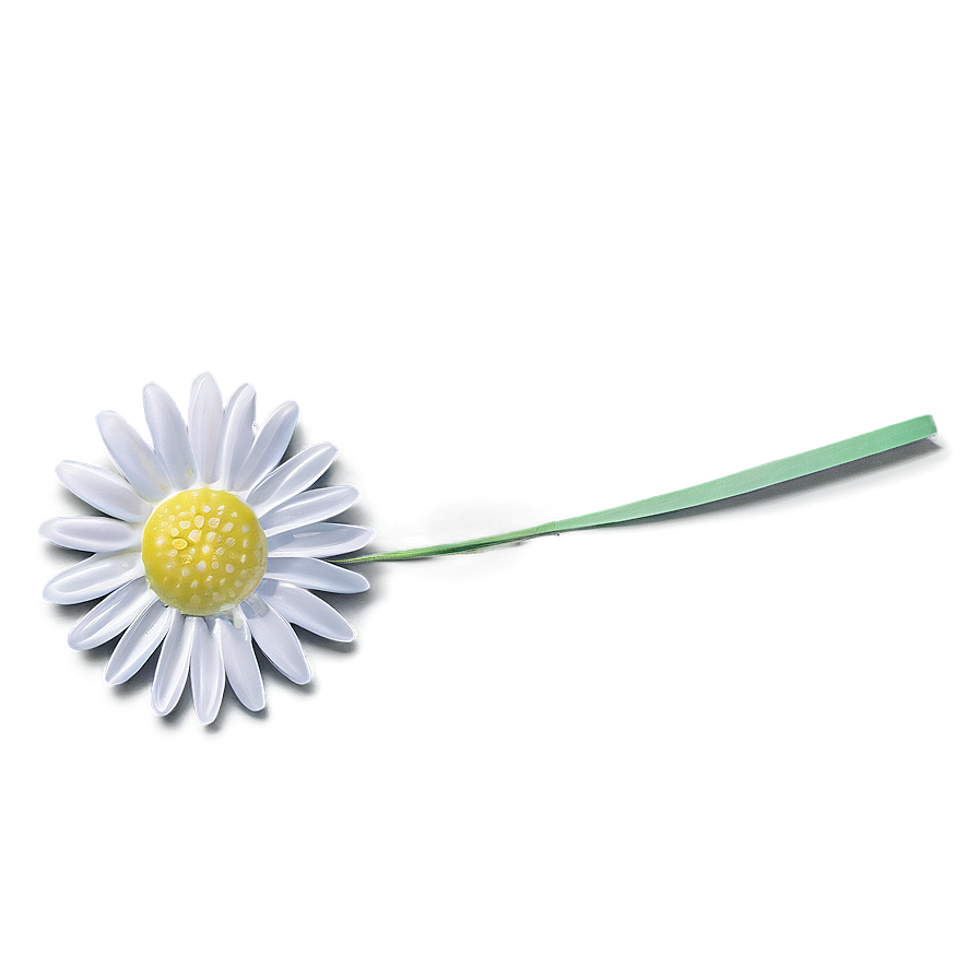 Daisy Ornament Png 45