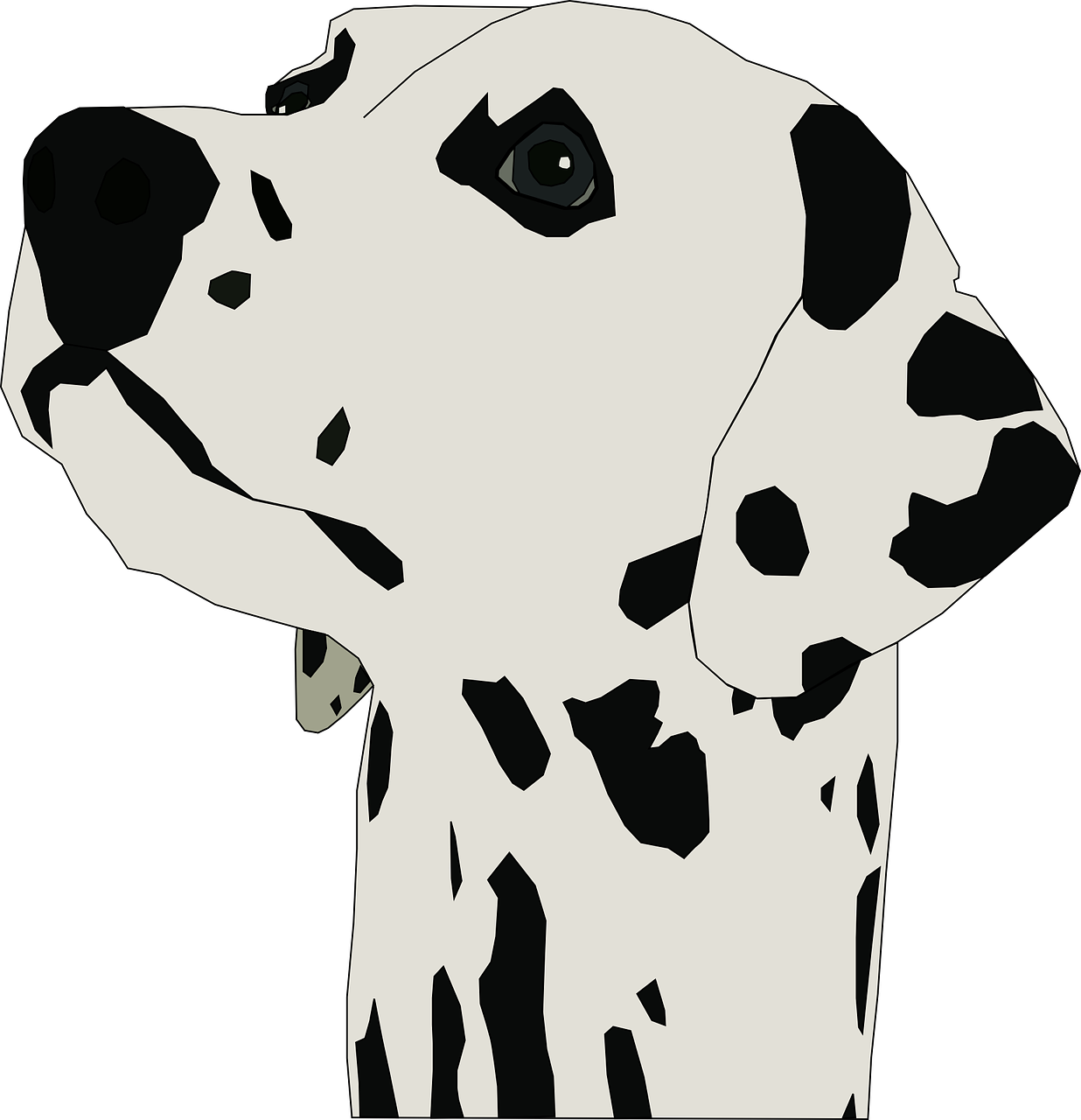 Dalmatian Dog Illustration