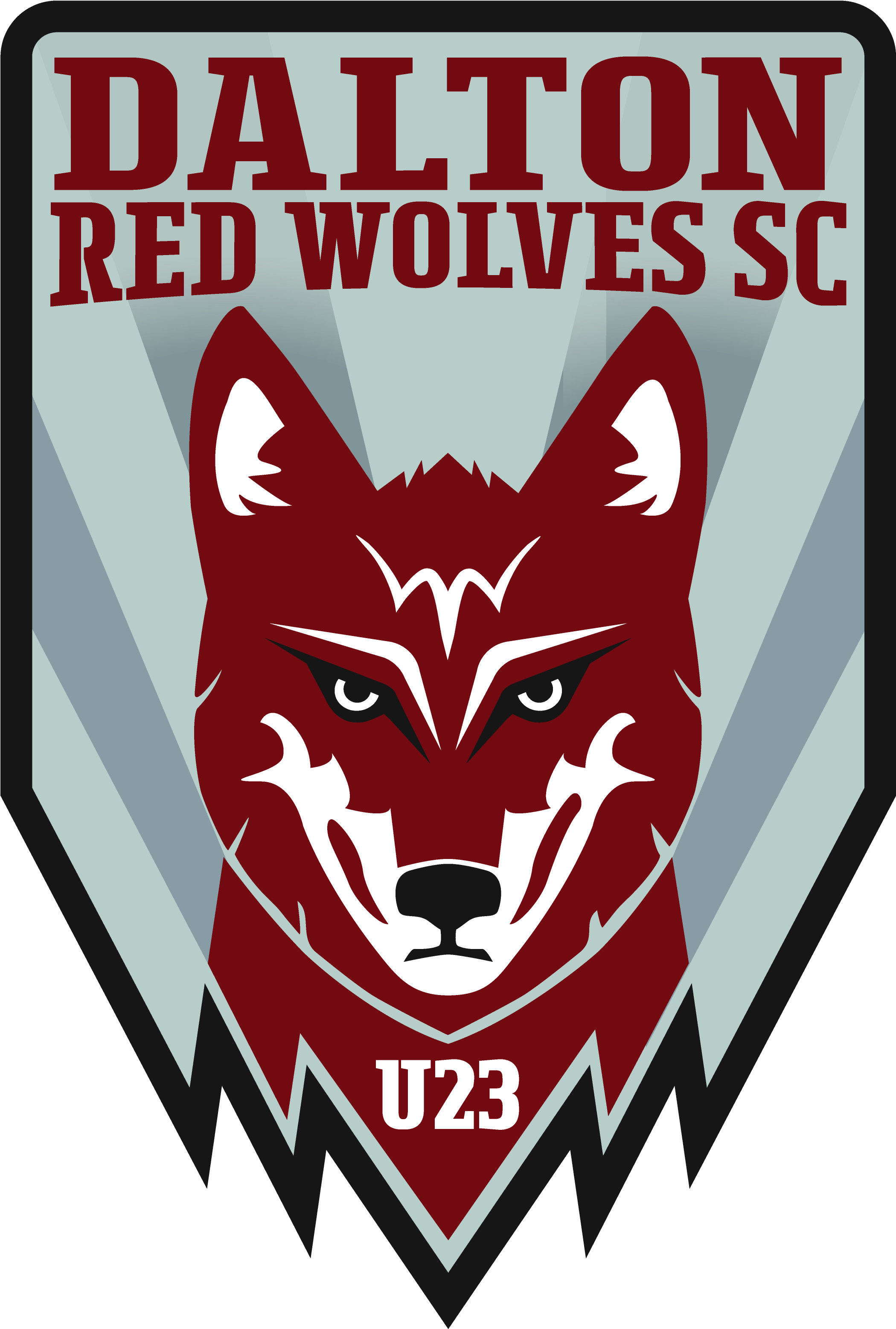 Dalton Red Wolves S C Logo