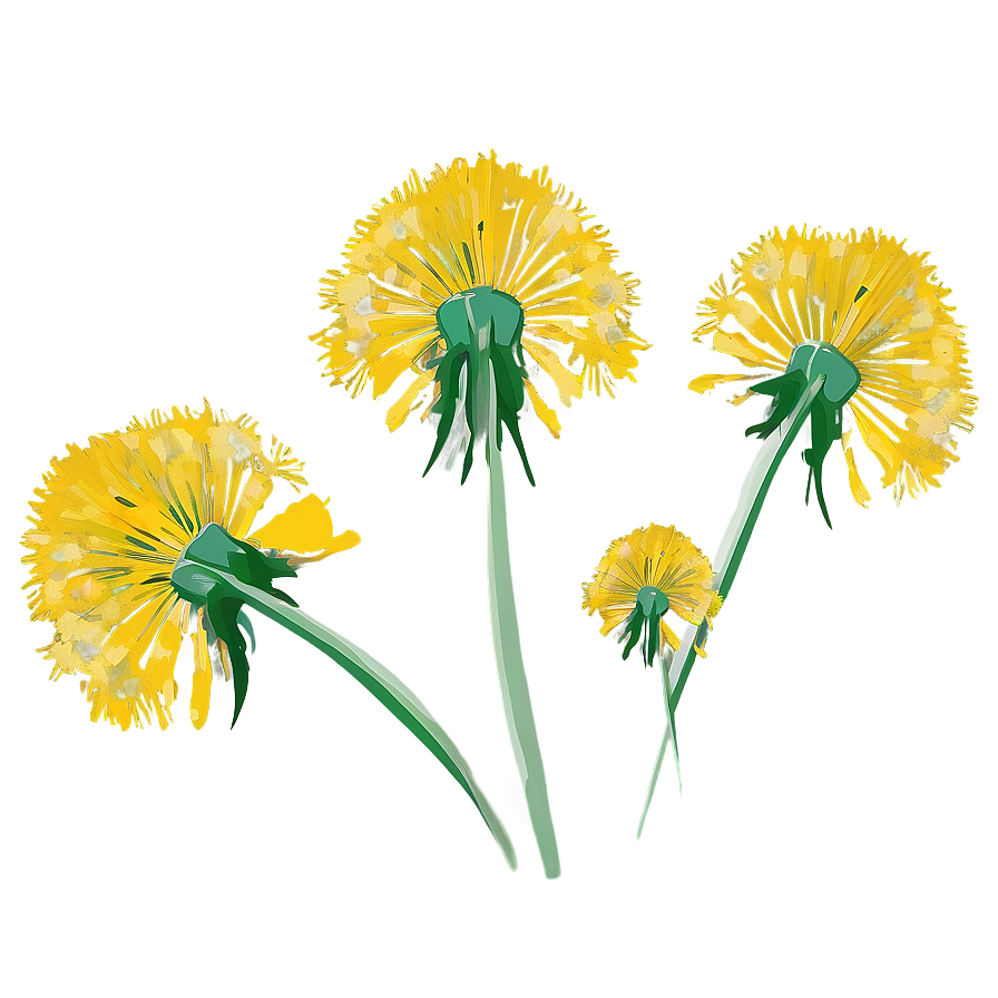 Dandelion Bouquet Art Png 89