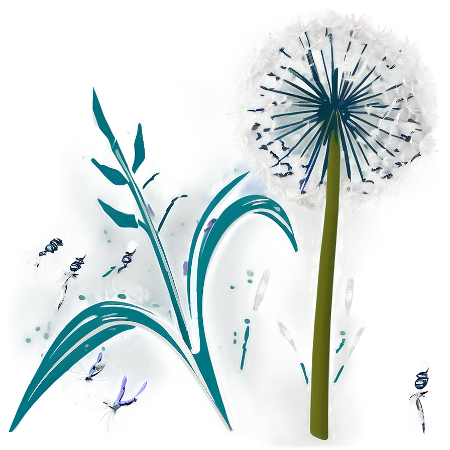 Dandelion Illustration Png 06292024