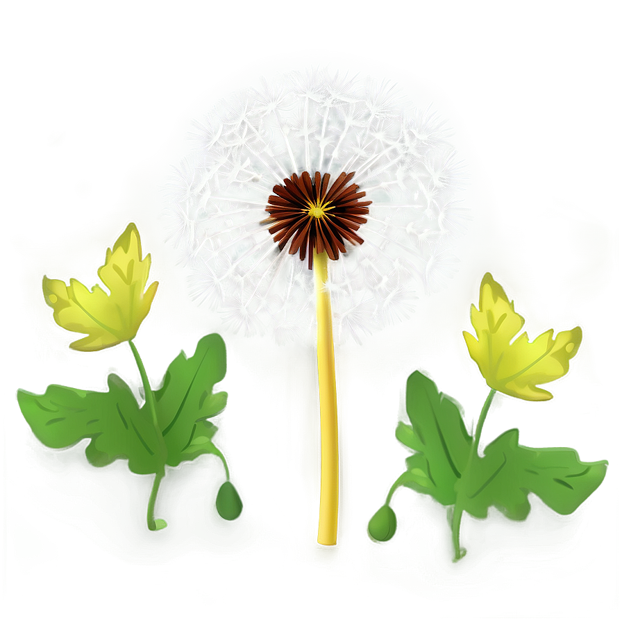 Dandelion Illustration Png Ygt67