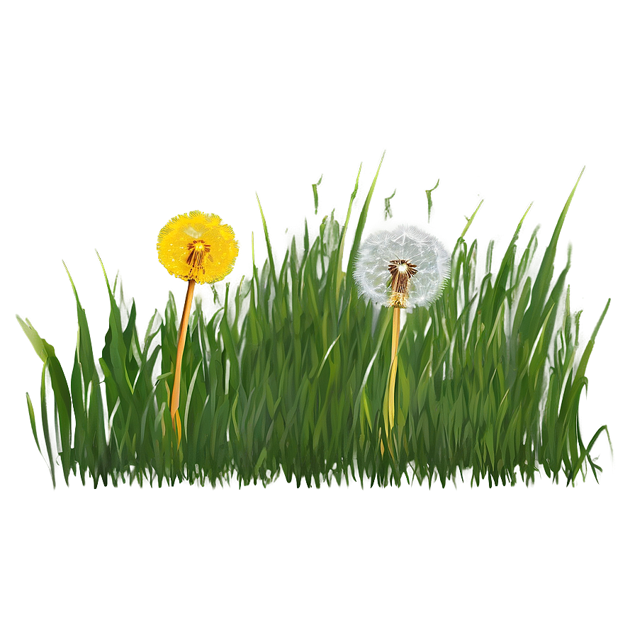 Dandelion In Grass Png 4