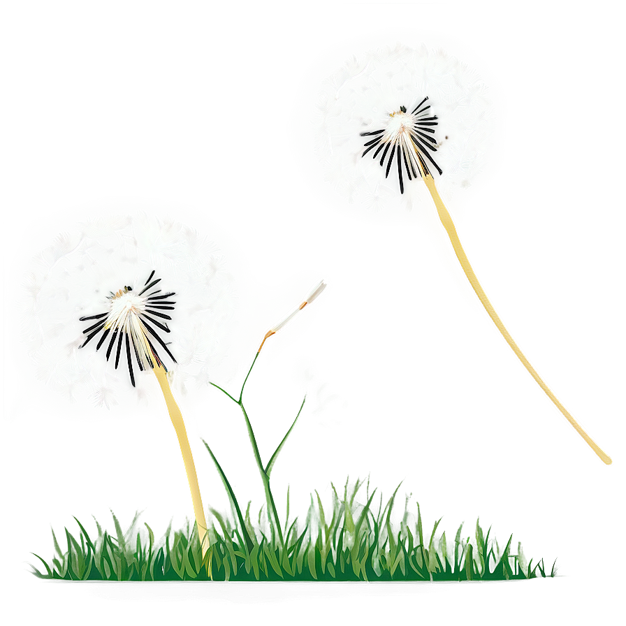 Dandelion Seed Flight Png Vdn