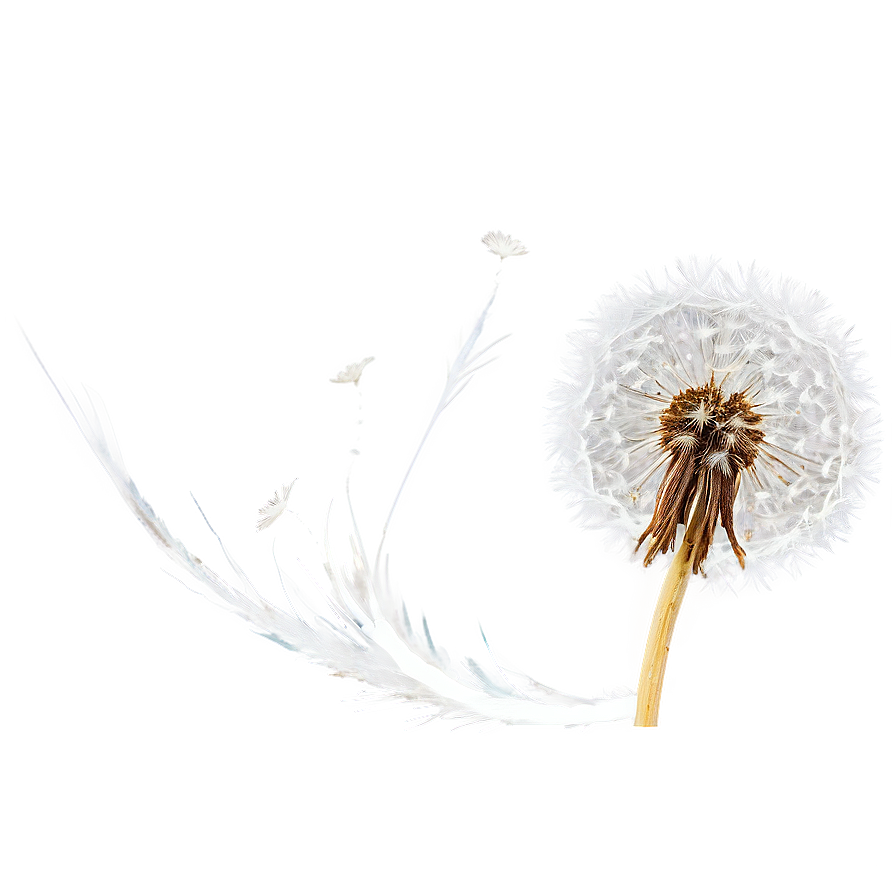 Dandelion Seed In Wind Png Bkx43