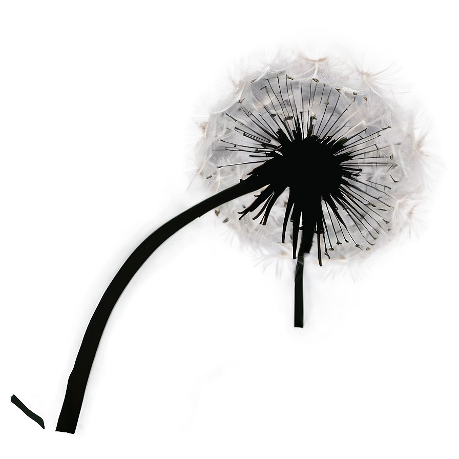 Dandelion Silhouette Png 96