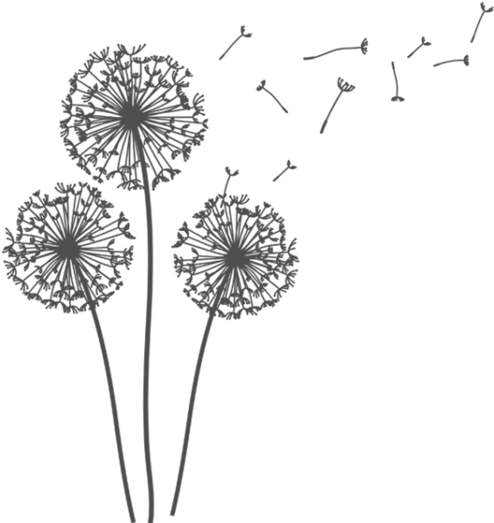 Dandelion_ Silhouettes_ Blowing_in_ Wind.png