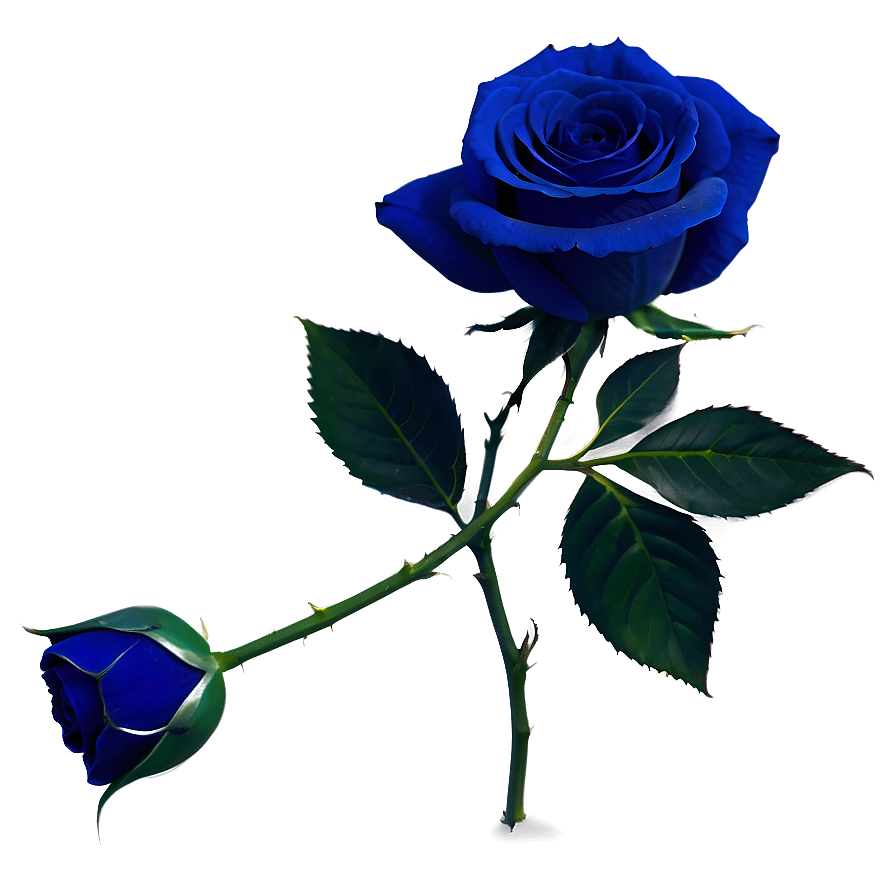 Dark Blue Rose Png 06202024