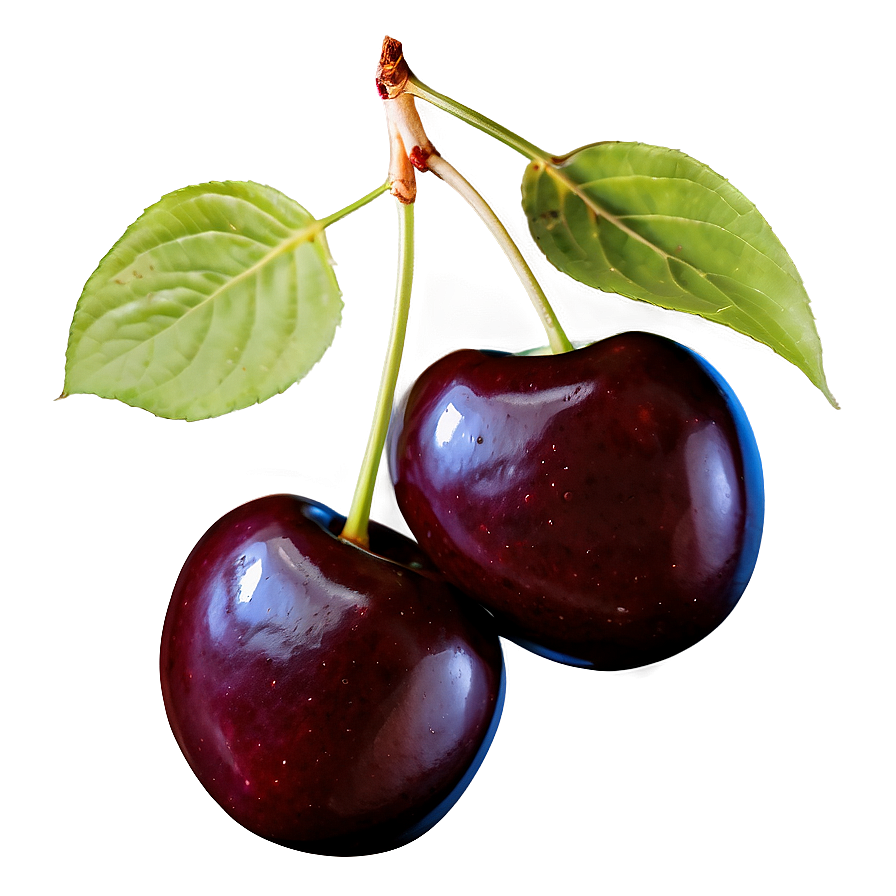 Dark Cherries Png 06212024