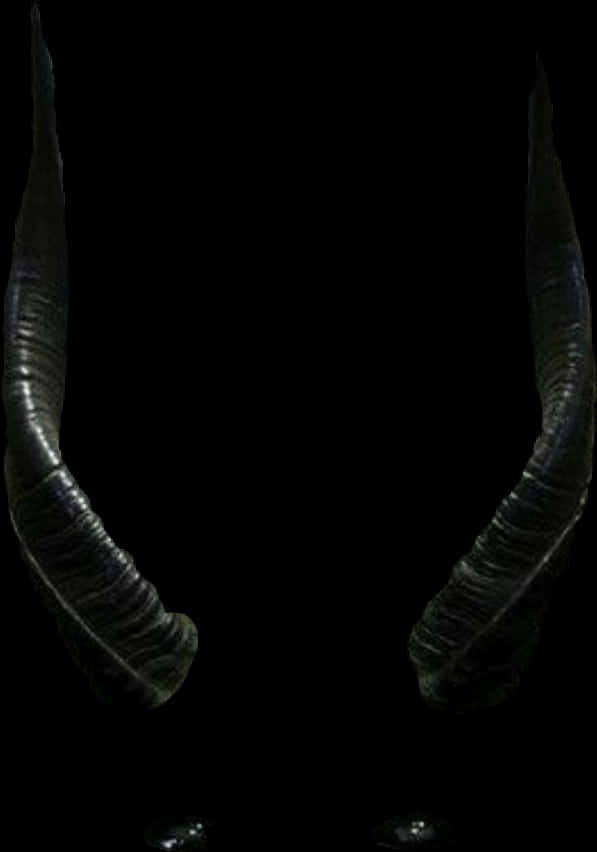 Dark Demonic Horns Isolated