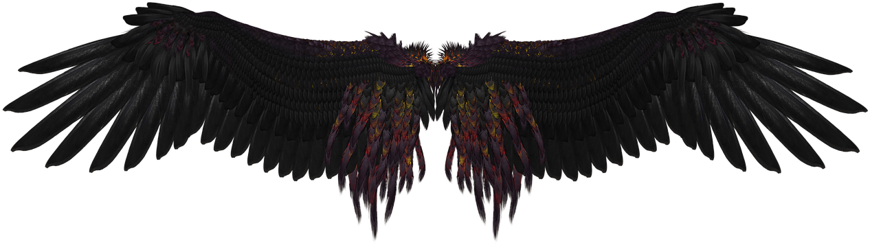 Dark Feathered Angel Wings