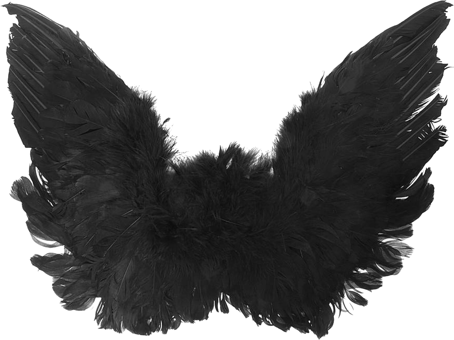 Dark Feathered Wings.png