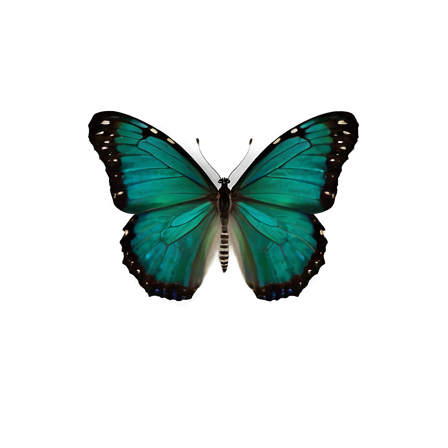 Dark Green Butterfly Png Vix58