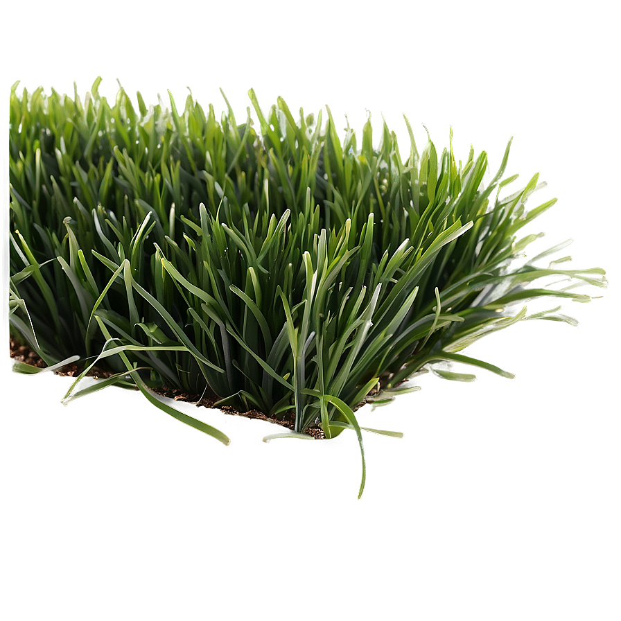 Dark Green Grass Png 06262024