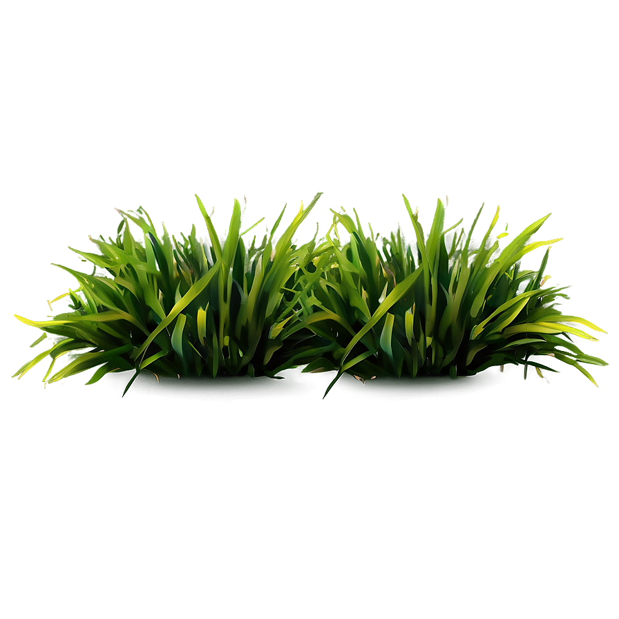 Dark Green Grass Png Qxj71