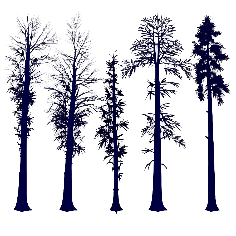 Dark Moody Forest Trees Png Irr29