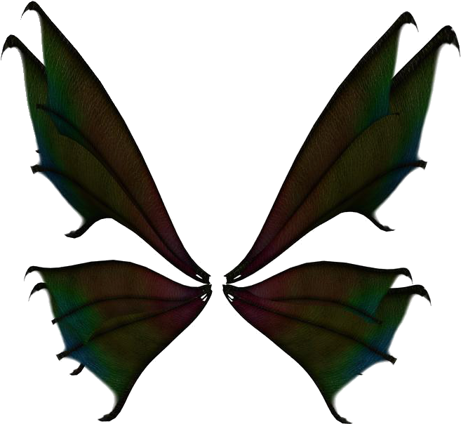 Dark Mystical Butterfly Wings