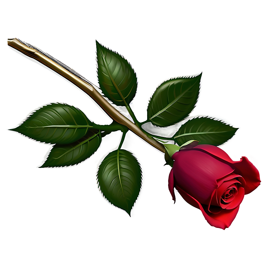 Dark Red Rose Png 05242024