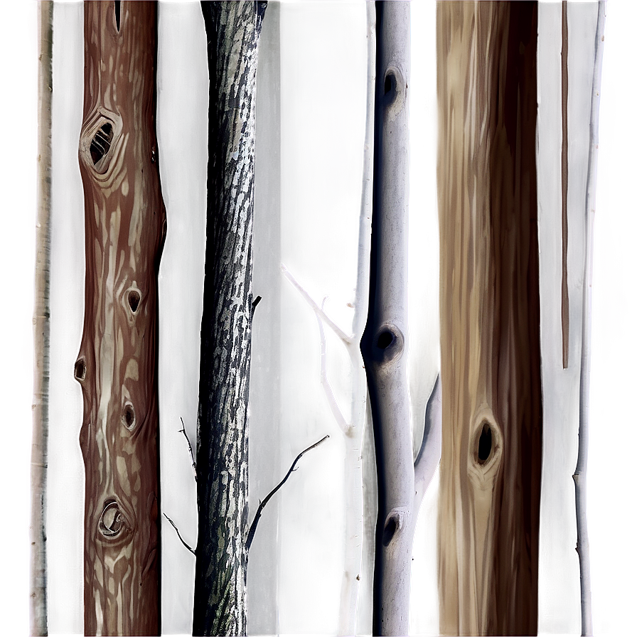 Dark Spooky Woods Png 21