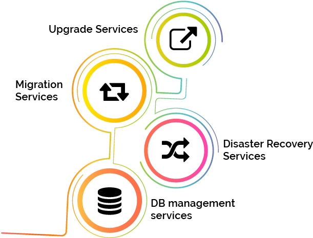 Database_ Services_ Infographic