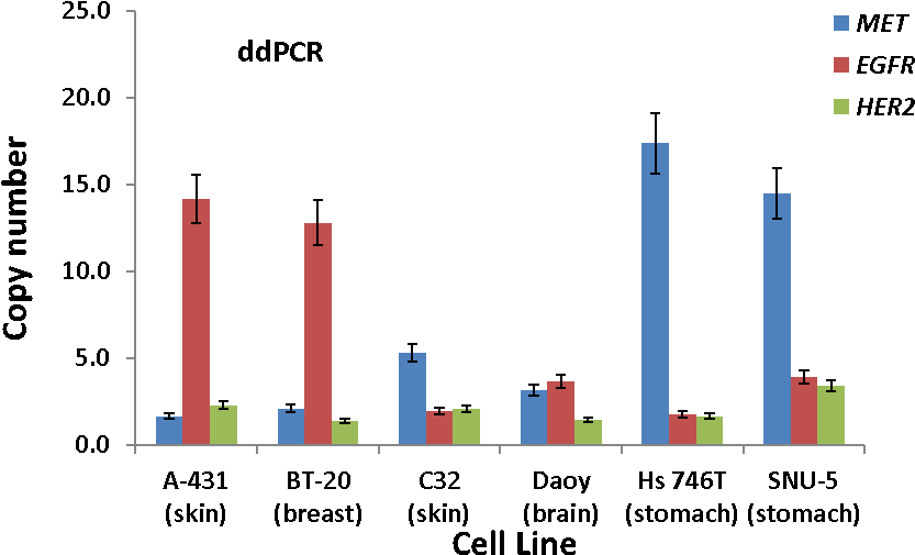 Dd P C R Gene Copy Number Variation Analysis