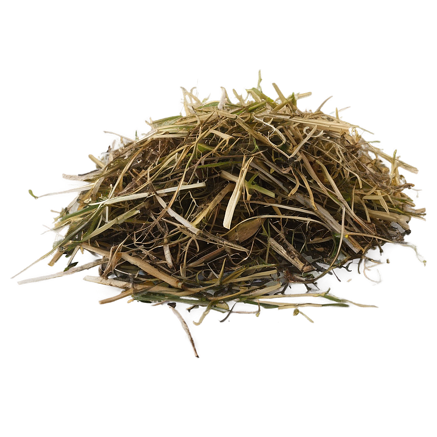 Dead Grass Clippings Png Fcq22