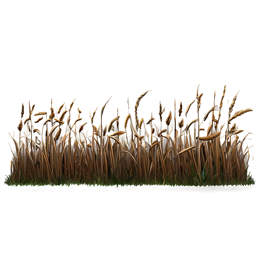 Dead Grass Field Border Png Smq92