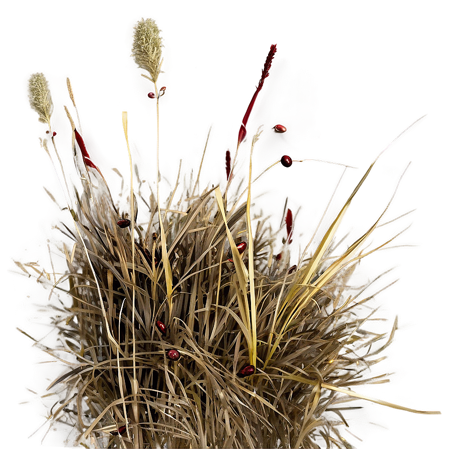 Dead Grass Field Top View Png Rji