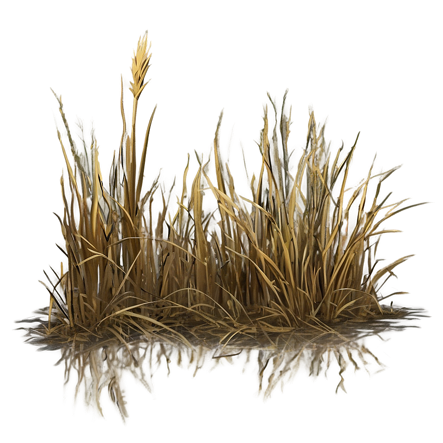 Dead Grass Landscape Png 06262024