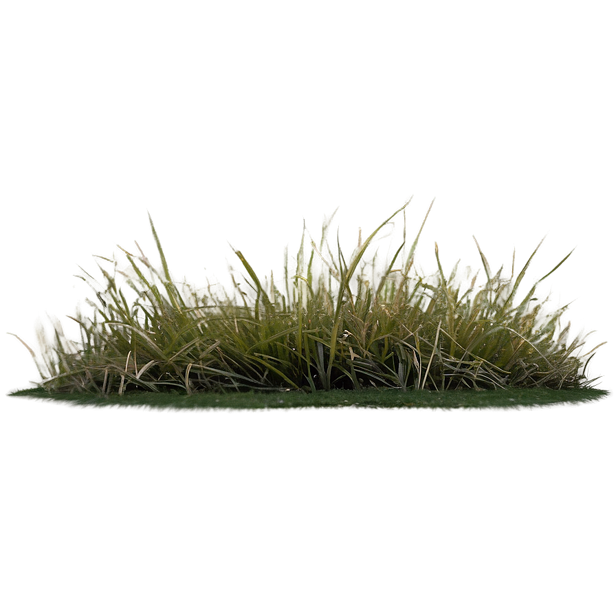 Dead Grass Landscape Png 40