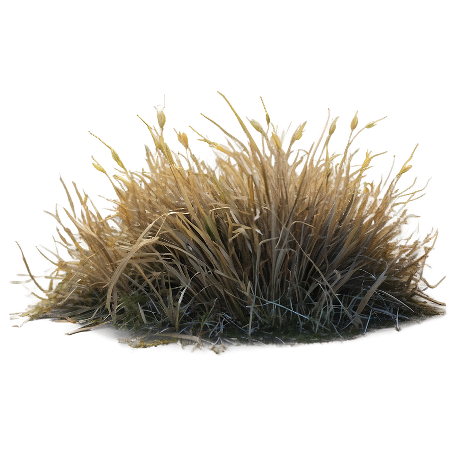 Dead Grass Matte Png 47