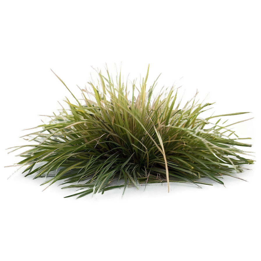 Dead Grass Matte Png Bnd