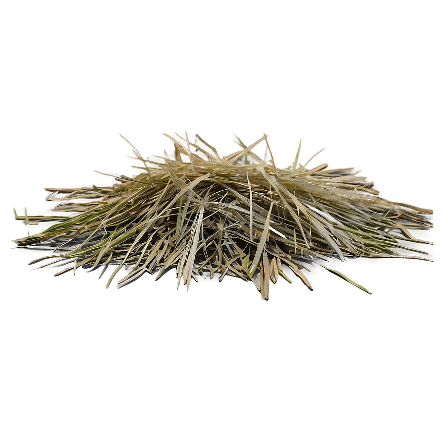 Dead Grass Overlay Png Uqr