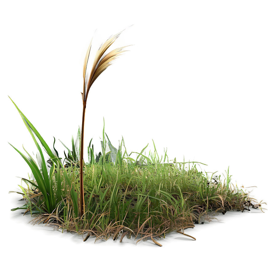 Dead Grass Patch Png Qoh