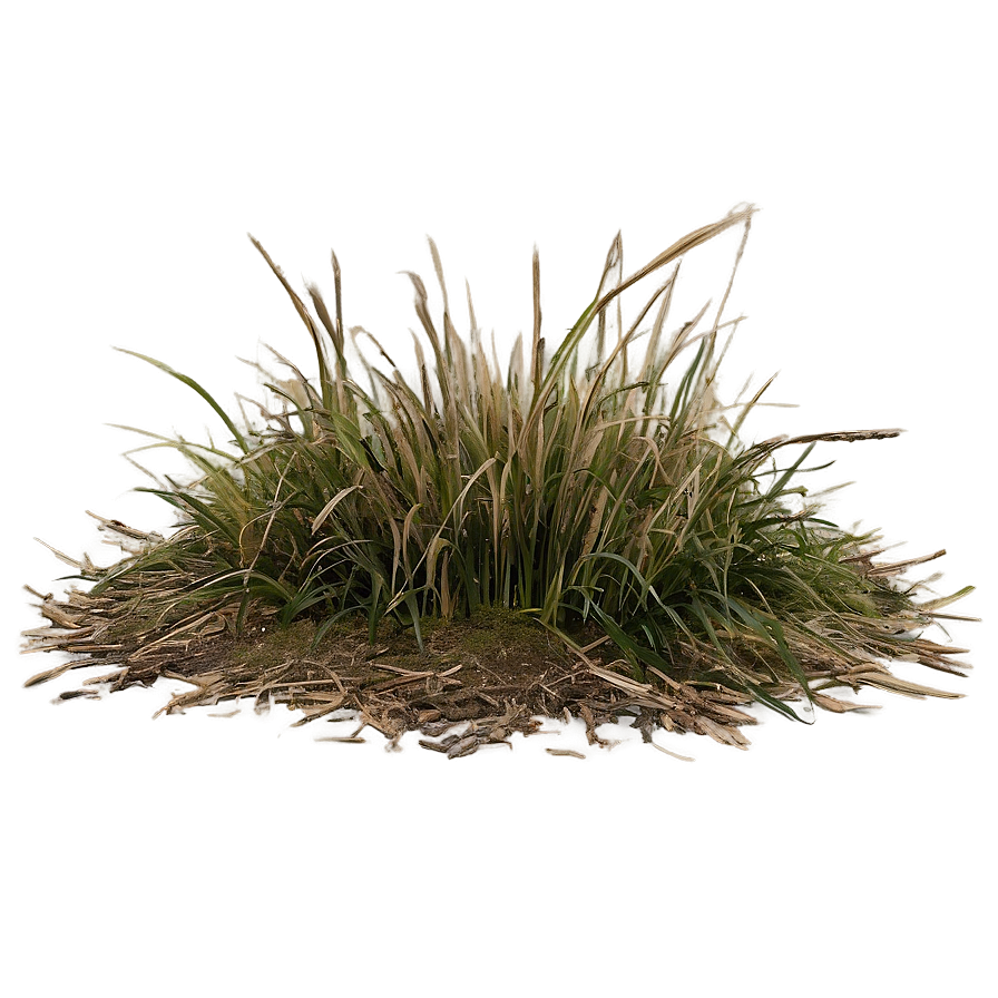 Dead Grass Plain Png 47