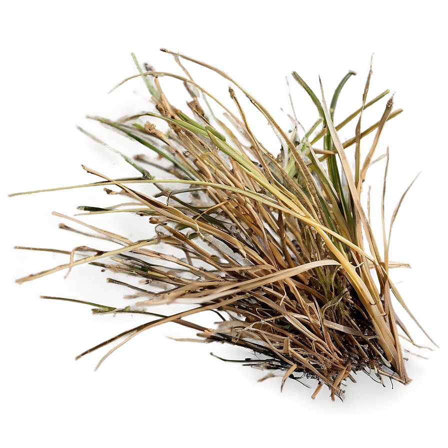 Dead Grass Texture Close-up Png 63