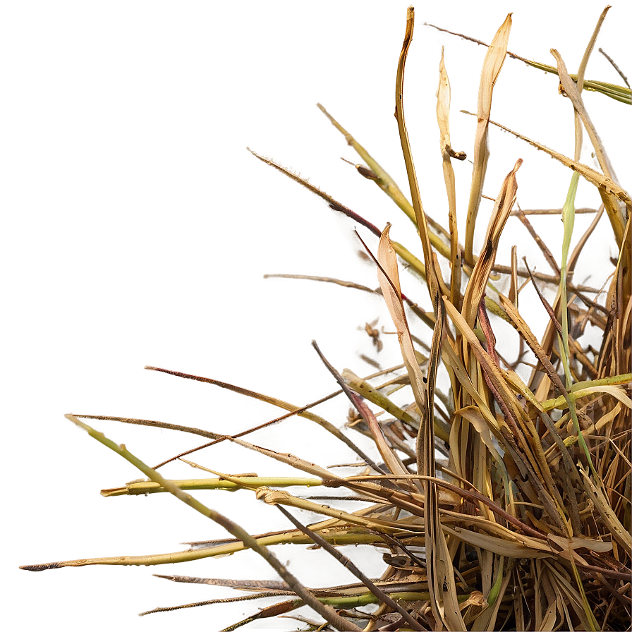 Dead Grass Texture Png Smb10