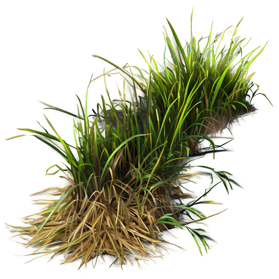 Dead Grass Tuft Png Lts92