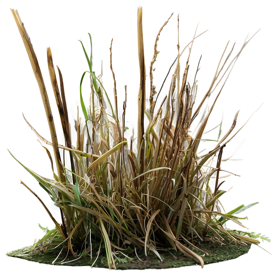 Dead Grass Underfoot Png Sov35