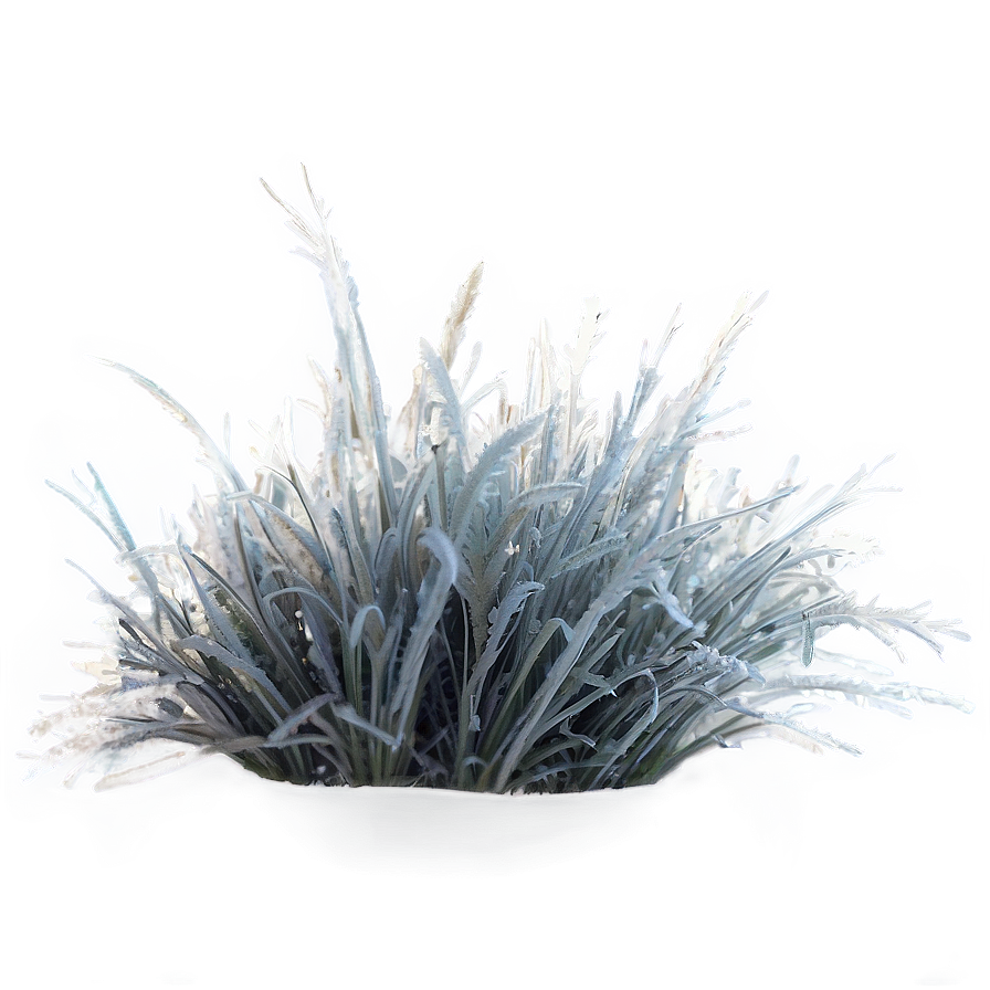 Dead Grass With Frost Png 34