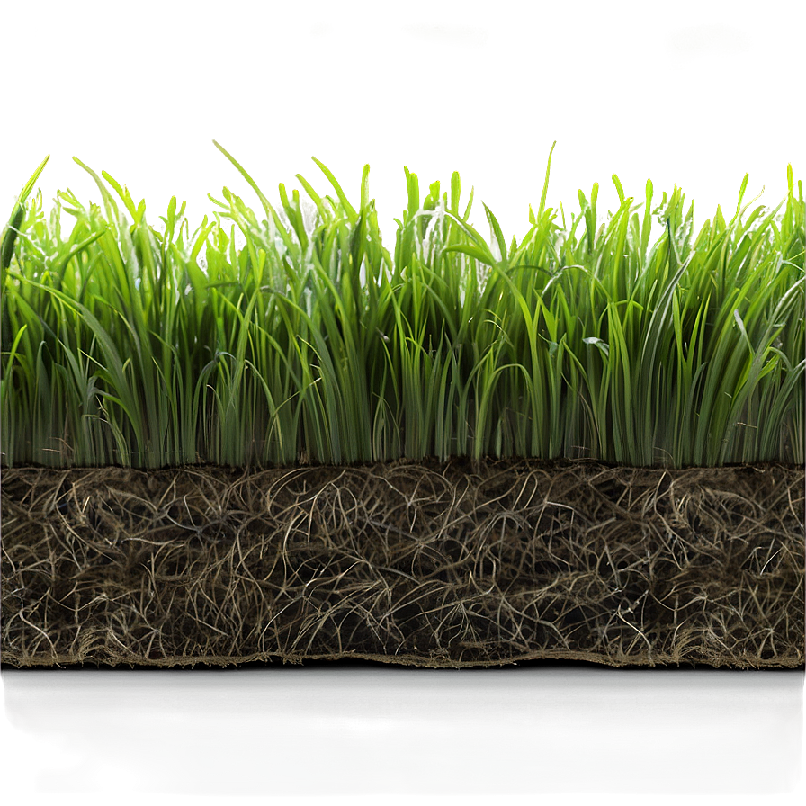 Dead Lawn Grass Png 45