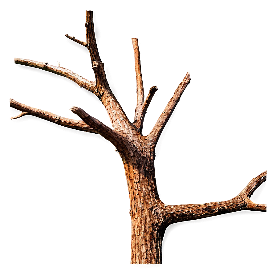 Dead Tree Branch Png Bvs26