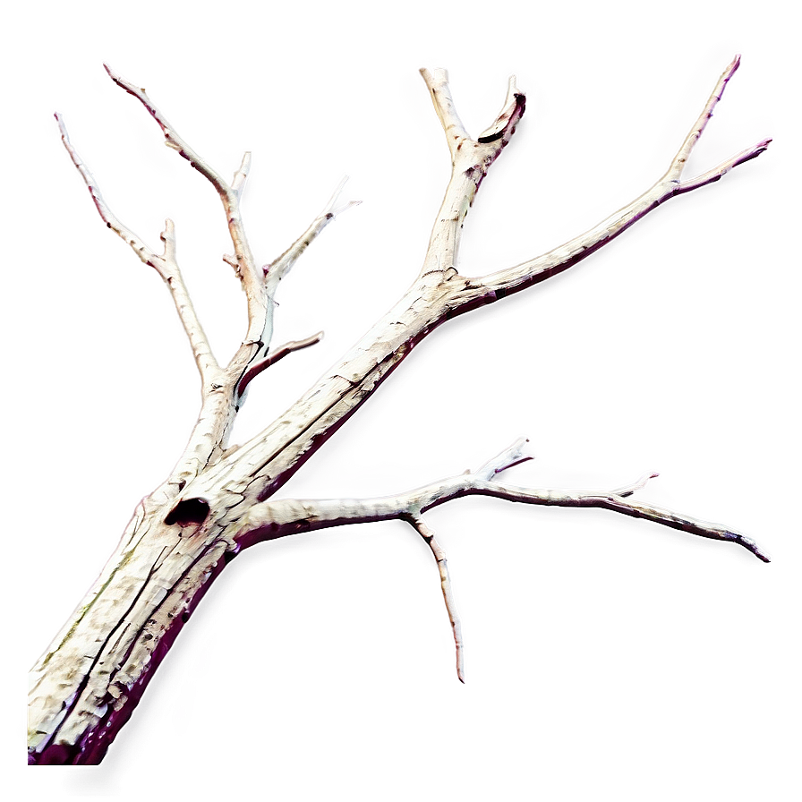 Dead Tree Branch Png Edc