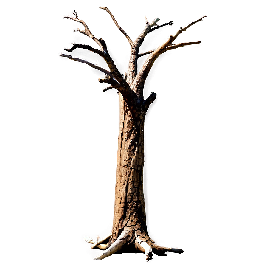 Dead Tree Branch Png Oba