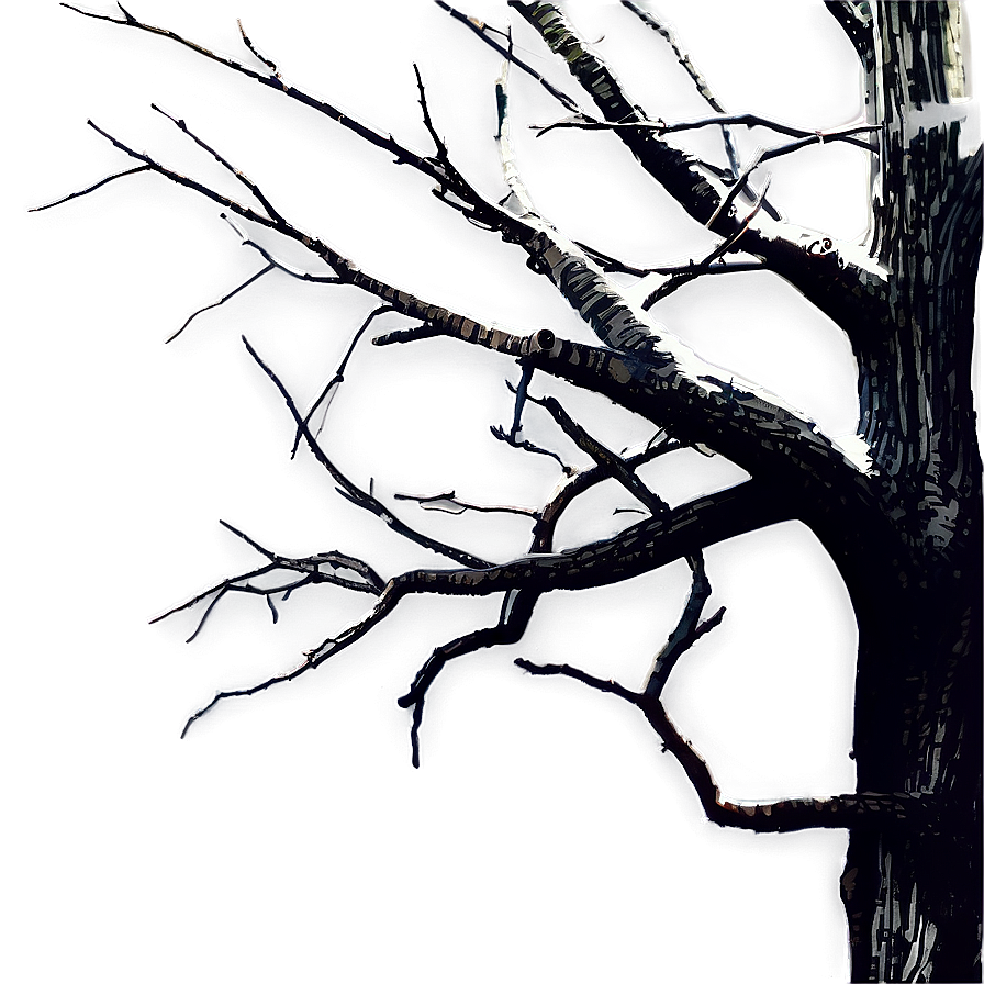 Dead Tree Branches Png Tun36