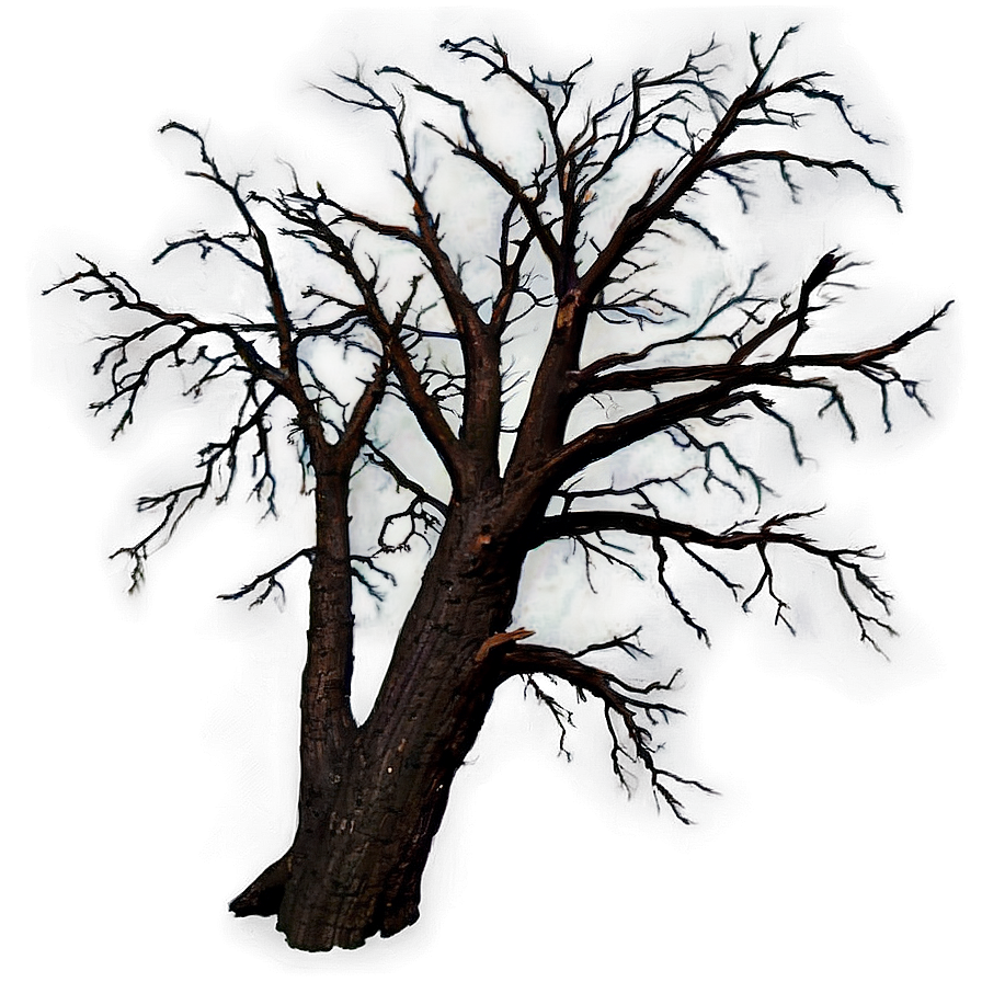 Dead Tree In Storm Png 11