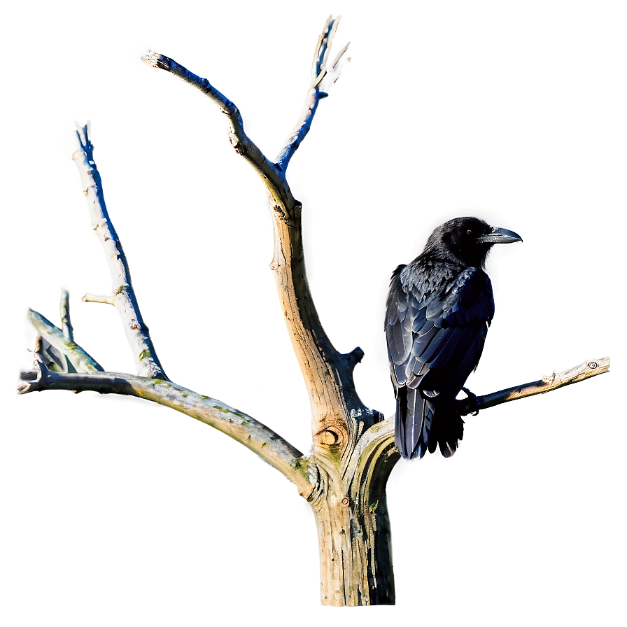 Dead Tree With Raven Png Bol44