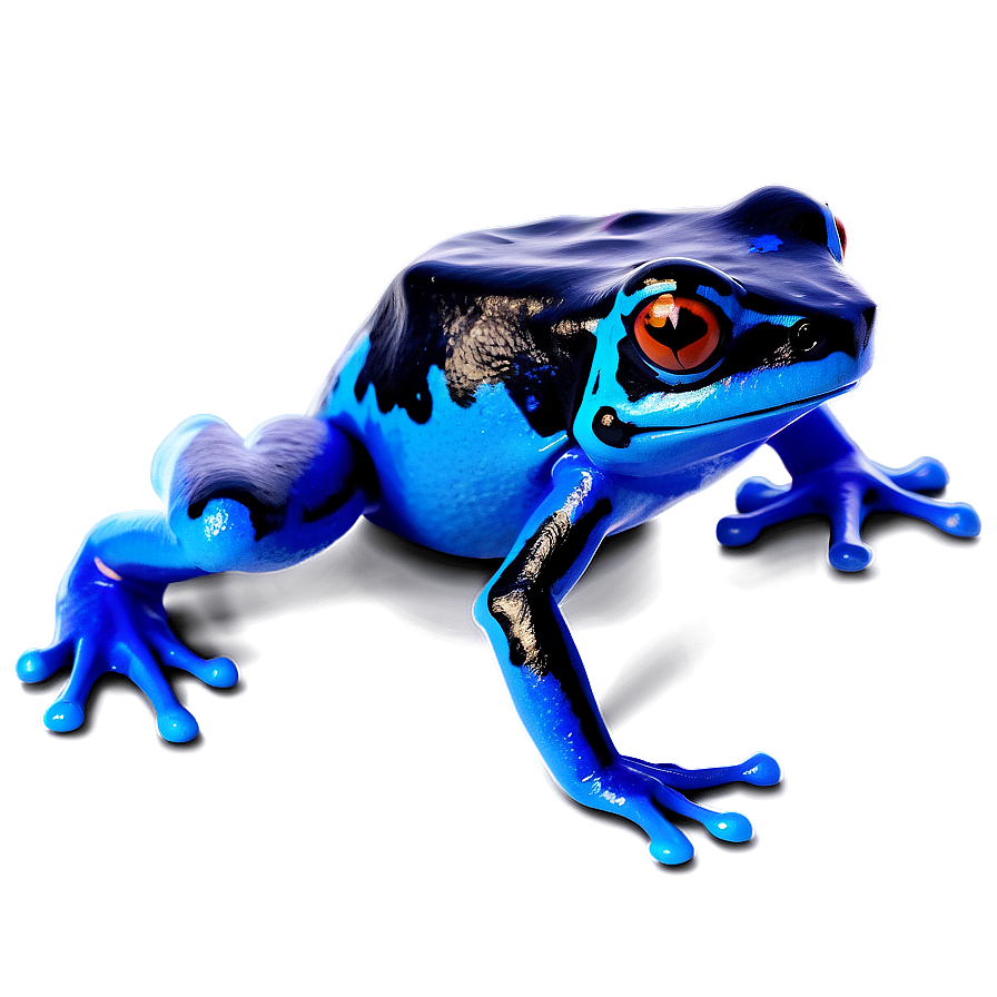 Deadly Poison Dart Frog Png 74